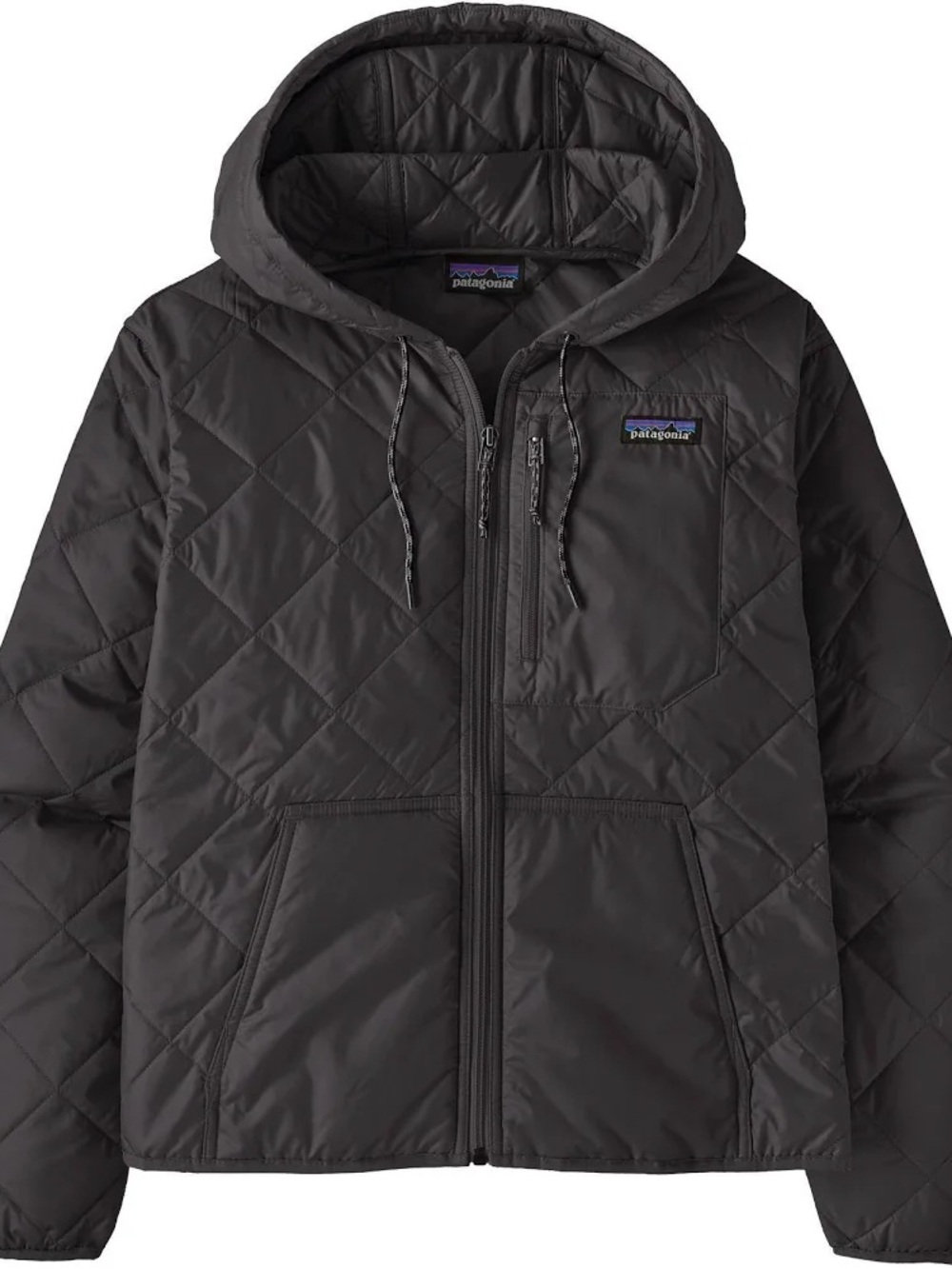 Patagonia Black Quilted Hooded Puffer Jacket